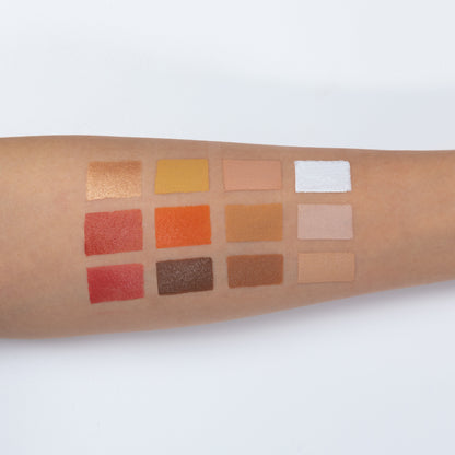 All-In-One Face Palettes FP12
