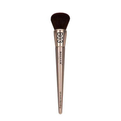 Single Brush B03