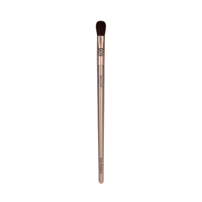 Single Brush B09