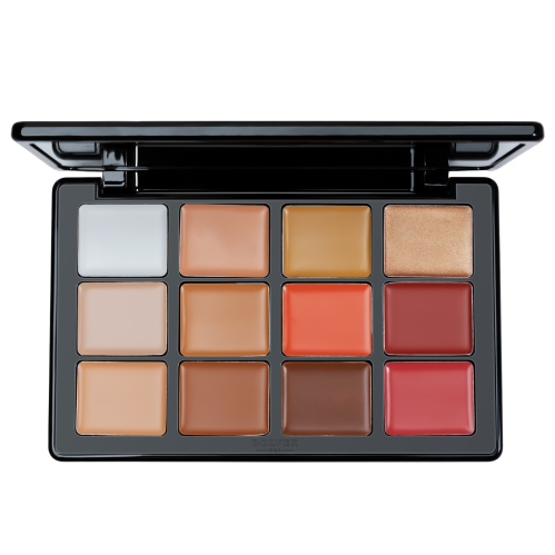 All-In-One Face Palettes FP12